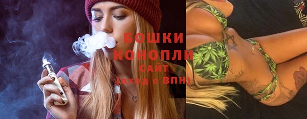 ПСИЛОЦИБИНОВЫЕ ГРИБЫ Баксан