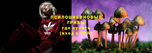 мяу мяу мука Балабаново