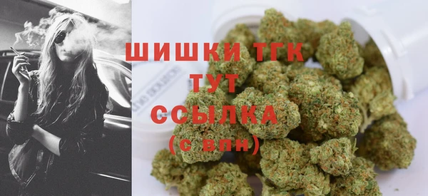 ПСИЛОЦИБИНОВЫЕ ГРИБЫ Баксан