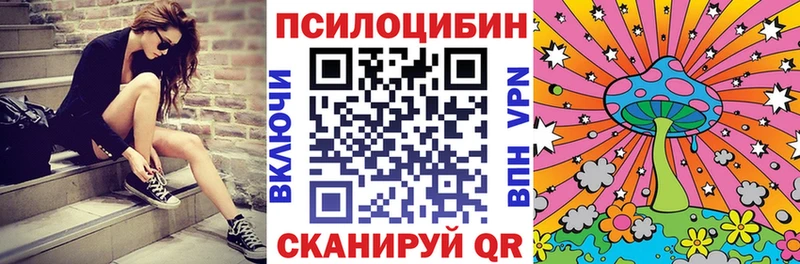 закладка Нижняя Тура Псилоцибиновые грибы MAGIC MUSHROOMS