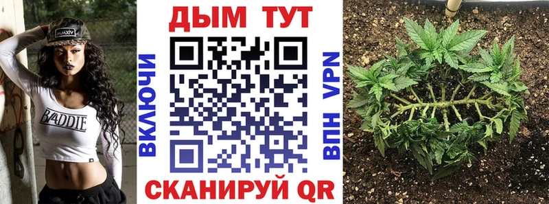 Каннабис SATIVA & INDICA  Нижняя Тура 